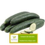 Pepino Japonês - Quilo